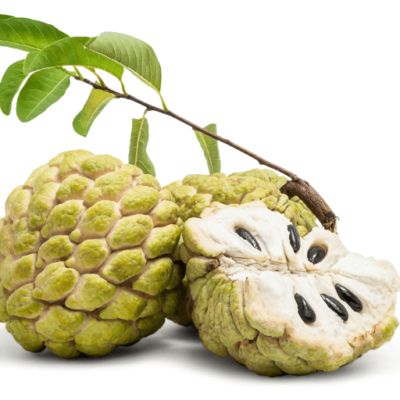 Custard Apple Seeds – Grow Your Own Sweet & Nutritious Annona Fruit! 🍈 - Image 3