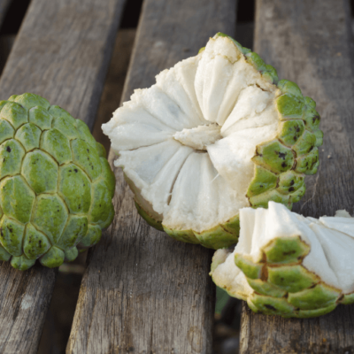Custard Apple Seeds – Grow Your Own Sweet & Nutritious Annona Fruit! 🍈 - Image 5