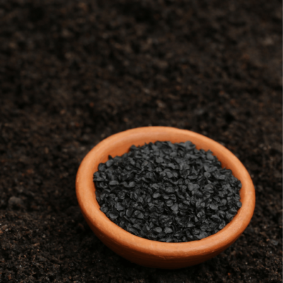 Red Onion (Pyaaz) seeds – A Versatile & Essential Vegetable for Every Kitchen 🧅🌿 - Image 3