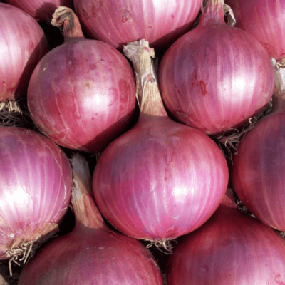 Red Onion (Pyaaz) seeds – A Versatile & Essential Vegetable for Every Kitchen 🧅🌿 - Image 4