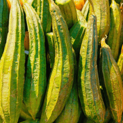 Ridge Gourd (Turai) Seeds – A Nutritious & Versatile Vegetable for Your Kitchen 🌿🥒